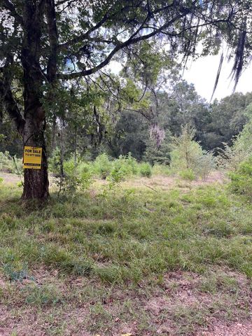 0 N Francies, Shepherd, TX 77371