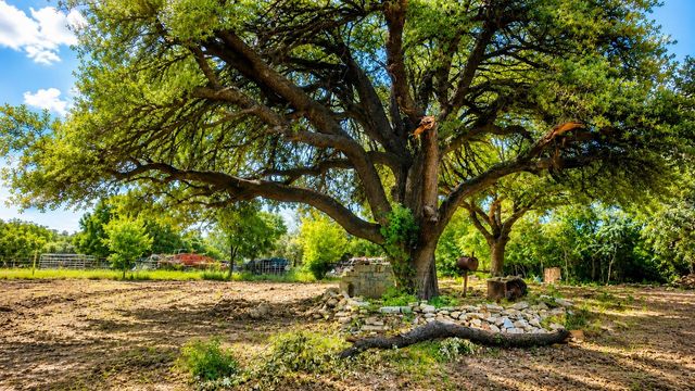 4004 Clearview Court, Weatherford, TX 76087