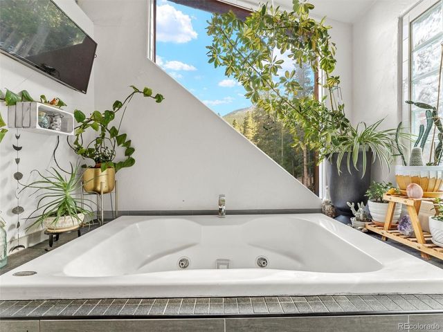 197 Sawmill Lane, Idaho Springs, CO 80452