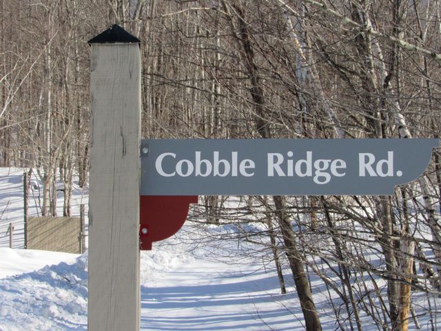 F2 Cobble Ridge Road F2, Winhall, VT 05340