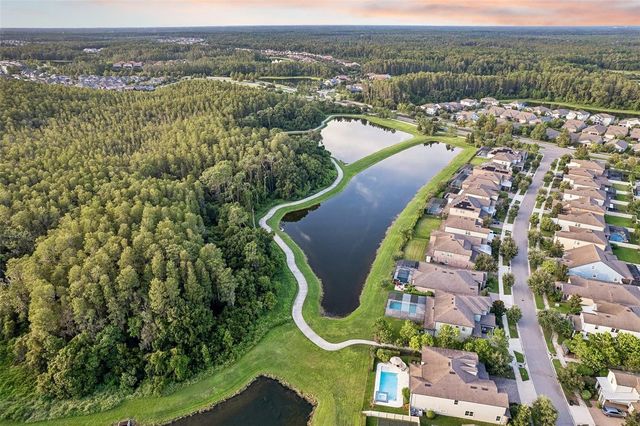 4473 TATUM LOOP, Odessa, FL 33556