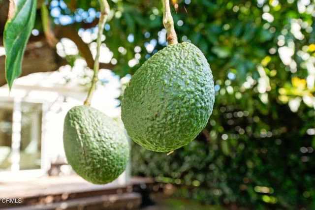 242 E Mcfarlane Drive, Ventura, CA 93001