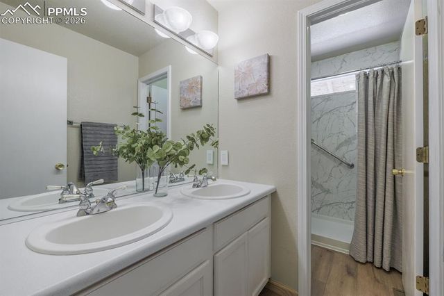 4101 Happy Jack Drive, Colorado Springs, CO 80922