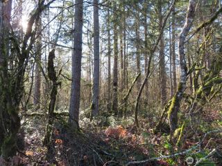 115 Campground Lane, Winlock, WA 98596