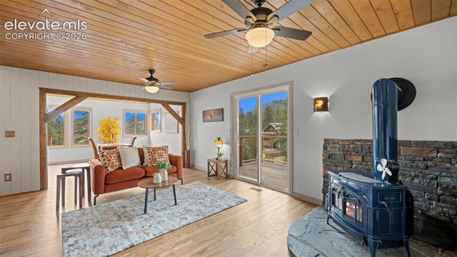 925 Midland Court, Lake George, CO 80827