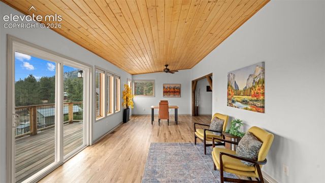 925 Midland Court, Lake George, CO 80827