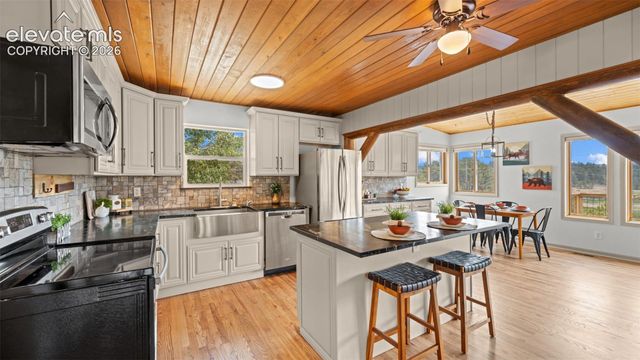 925 Midland Court, Lake George, CO 80827