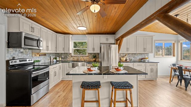 925 Midland Court, Lake George, CO 80827