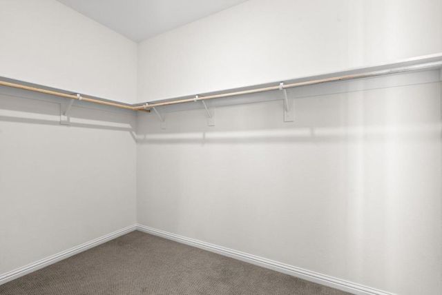 3208 Mallard Court 201, San Jose, CA 95117