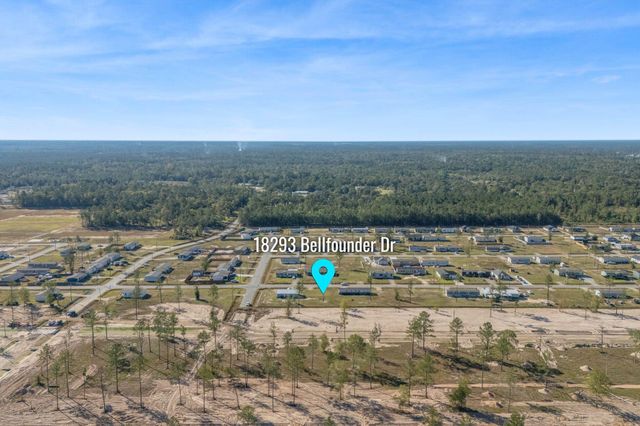 18293 Bellfounder Drive, Conroe, TX 77306