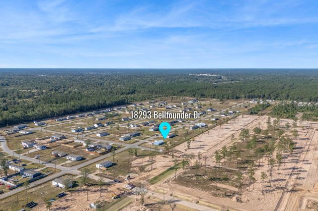 18293 Bellfounder Drive, Conroe, TX 77306
