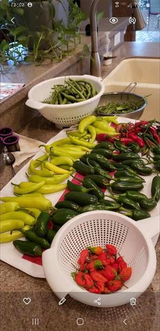 21046 COUNTY ROAD 33, Groveland, FL 34736