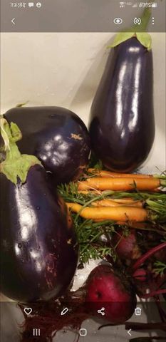 21046 COUNTY ROAD 33, Groveland, FL 34736