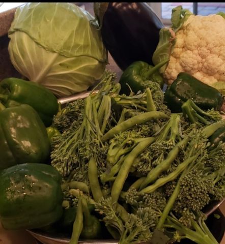 21046 COUNTY ROAD 33, Groveland, FL 34736