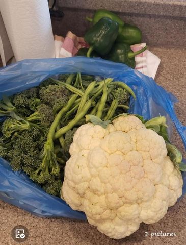 21046 COUNTY ROAD 33, Groveland, FL 34736