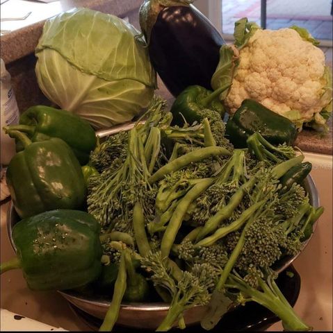 21046 COUNTY ROAD 33, Groveland, FL 34736