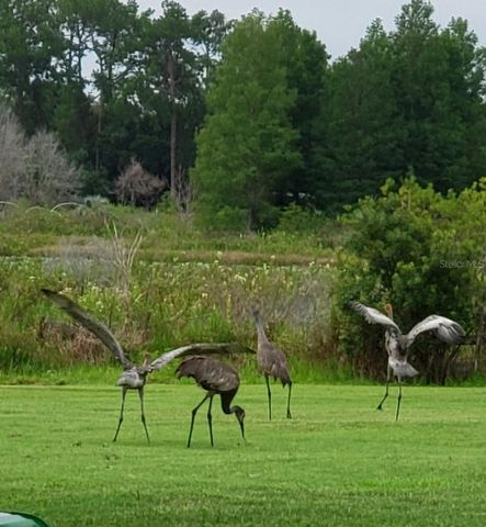 21046 COUNTY ROAD 33, Groveland, FL 34736