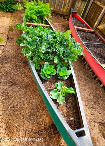 1808 Marcia Louise Drive, Southaven, MS 38672