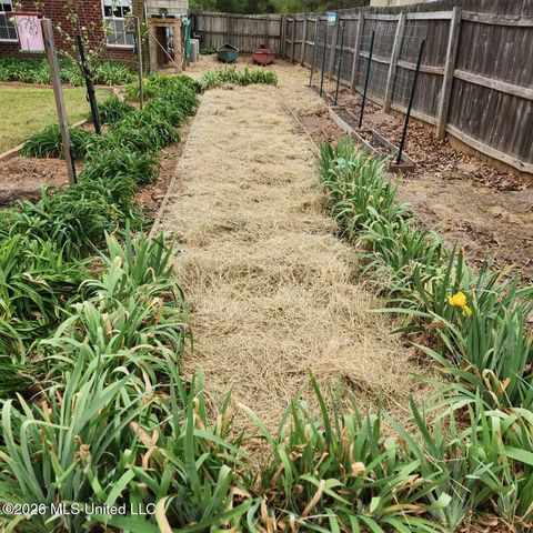 1808 Marcia Louise Drive, Southaven, MS 38672