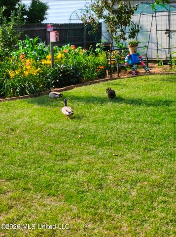 1808 Marcia Louise Drive, Southaven, MS 38672