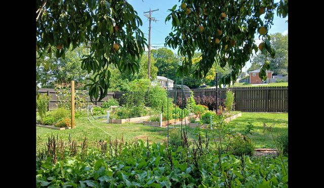 362 Swope Drive, Danville, KY 40422