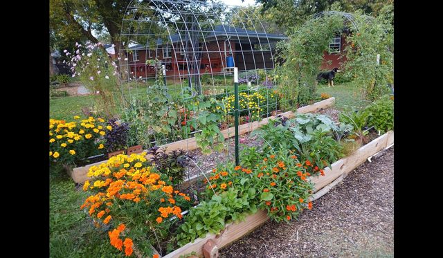 362 Swope Drive, Danville, KY 40422