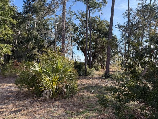 1 Shallow Run Lane, Beaufort, SC 29907