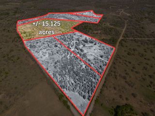 TBD 15.125 Acres Slusher Road, Jacksboro, TX 76458