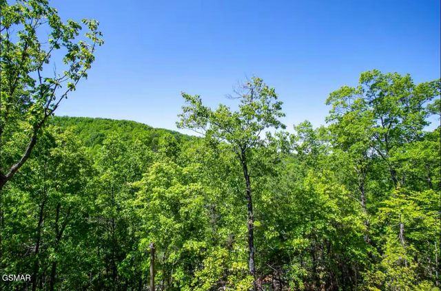 1909 Rose Pass, Sevierville, TN 37876