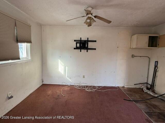 206 Folk Street, Potterville, MI 48876