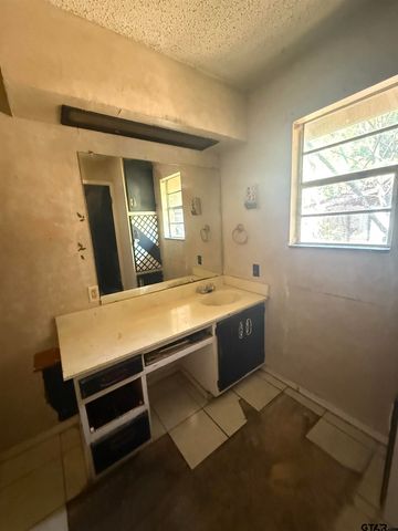 200 Scenic Loop, Hawkins, TX 75765