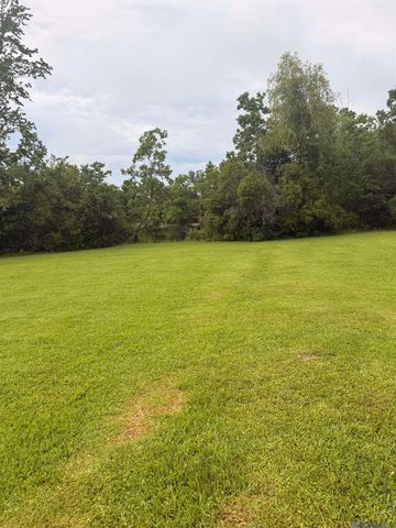 41482 Narvie Rd, Gonzales, LA 70737