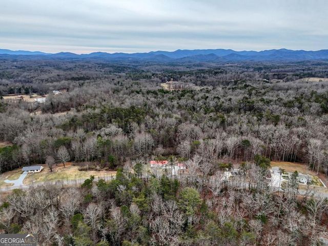 643 Number 20 Mine Road, Mccaysville, GA 30555