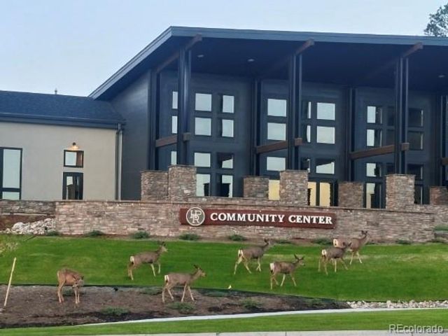 16318 Monument Rock Court, Monument, CO 80132