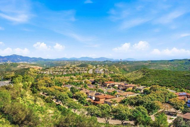 11393 Vista Elevada, San Diego, CA 92131