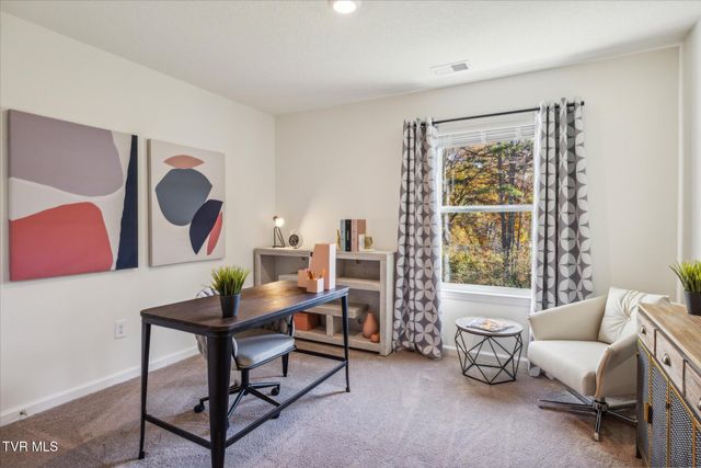 383 Alta Tree Blvd, Johnson City, TN 37604