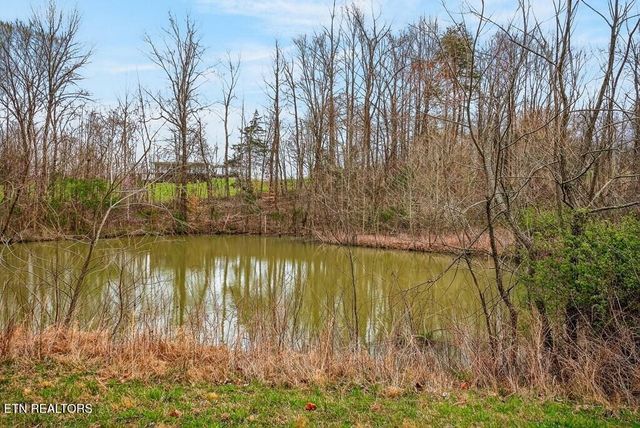 0 Marie Lane, Red Boiling Springs, TN 37150