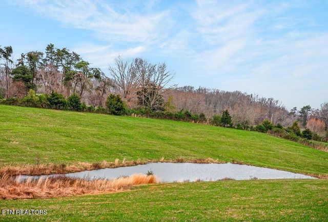 0 Marie Lane, Red Boiling Springs, TN 37150