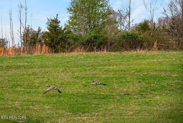 0 Marie Lane, Red Boiling Springs, TN 37150