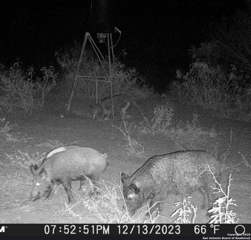 9 FM 1581, Pearsall, TX 78061