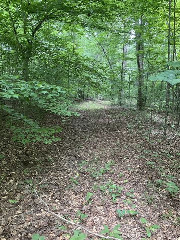 0 Fergus Ln, Tullahoma, TN 37388
