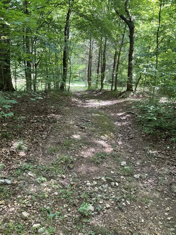 0 Fergus Ln, Tullahoma, TN 37388