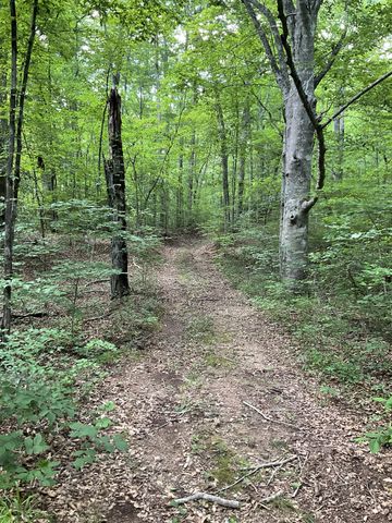 0 Fergus Ln, Tullahoma, TN 37388