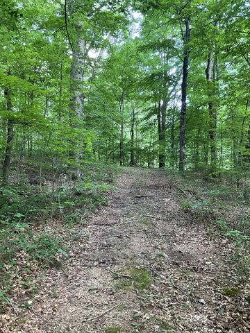 0 Fergus Ln, Tullahoma, TN 37388