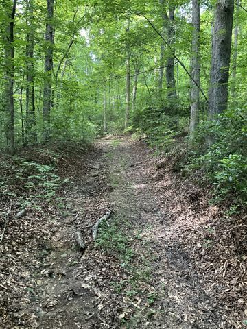 0 Fergus Ln, Tullahoma, TN 37388