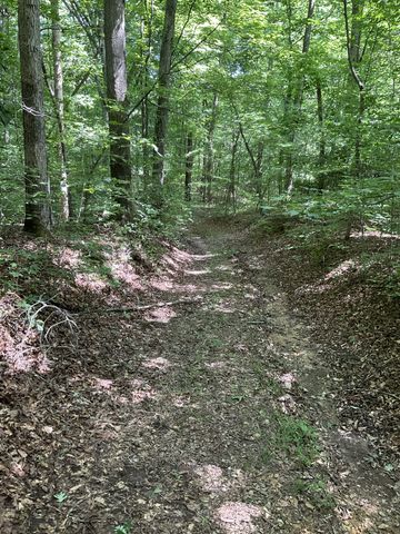 0 Fergus Ln, Tullahoma, TN 37388