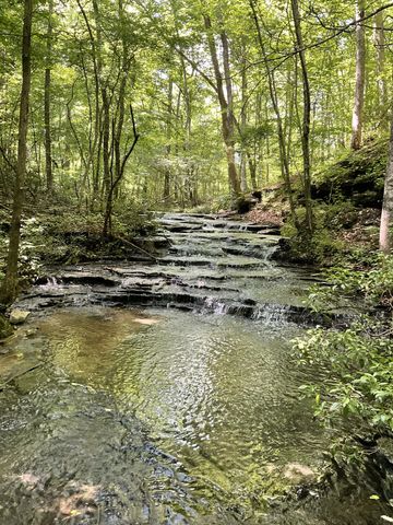 0 Fergus Ln, Tullahoma, TN 37388