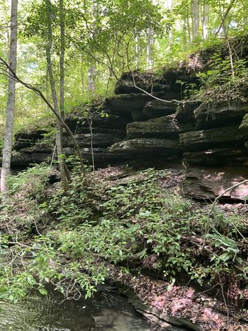 0 Fergus Ln, Tullahoma, TN 37388