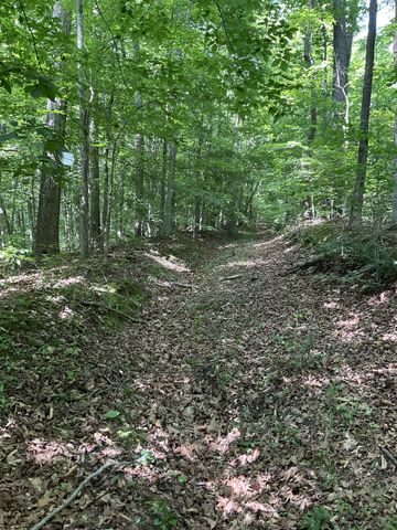 0 Fergus Ln, Tullahoma, TN 37388