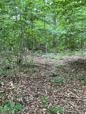 0 Fergus Ln, Tullahoma, TN 37388